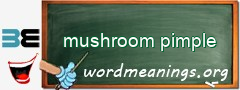 WordMeaning blackboard for mushroom pimple